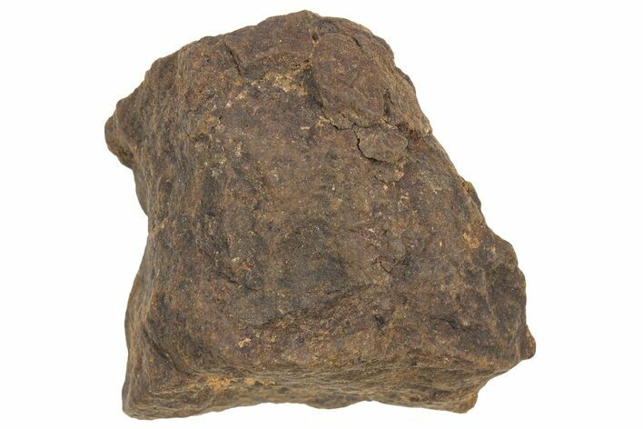 Chondrite Meteorite ( grams) - Western Sahara Desert #233195